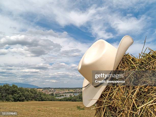 cowboy-hut aus stroh in - cowboyhut stock-fotos und bilder