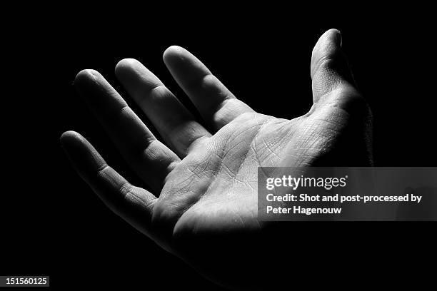 human hand - black and white hands stock pictures, royalty-free photos & images