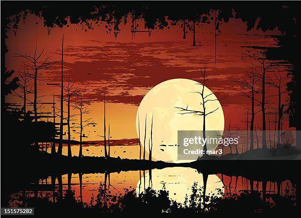swamp sunset - swamp stock illustrations