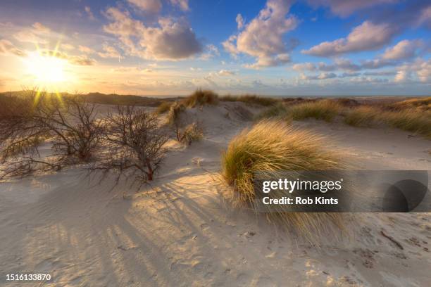 stormy sunset in the dunes of westduinpark near kijkduin and scheveningen - marram grass stock pictures, royalty-free photos & images