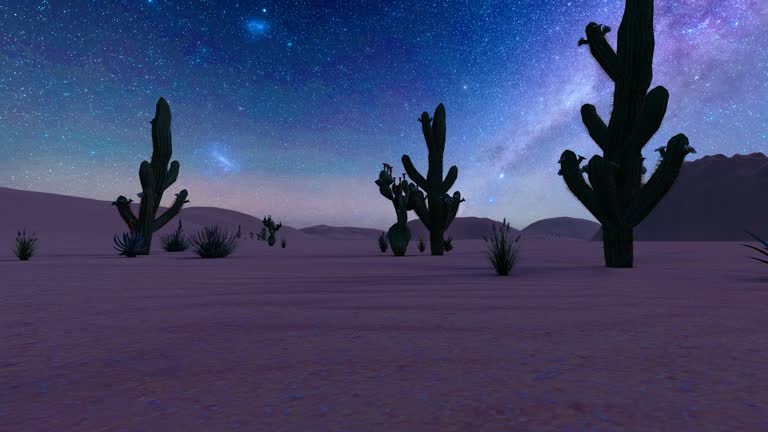 https://media.gettyimages.com/id/1516186850/video/plant-cactus-in-arid-desert.jpg?b=1&s=640x640&k=20&c=GnIDIxY1dKBp7lqnum90KrUNxrbb8x_MCnYOfYr_Gw4=