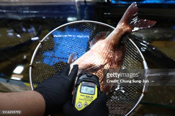 An investigator of National Federation of Fisheries Cooperatives checks the radioactivity in the sea bream from Japan at the Noryangjin fish market...
