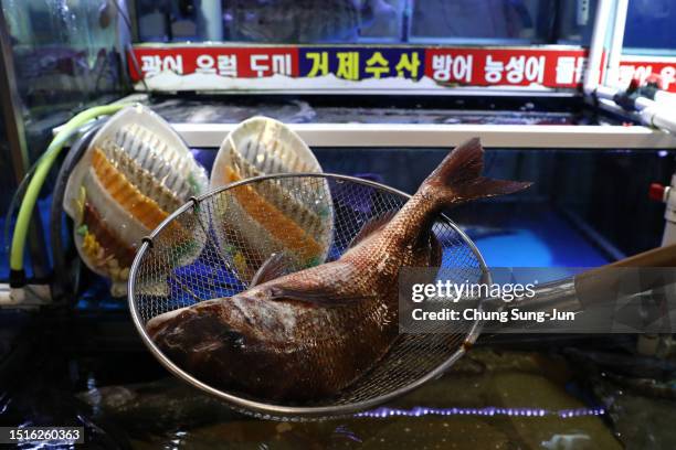 Fishmonger shows a sea bream from Japan at the Noryangjin fish market on July 05, 2023 in Seoul, South Korea. The International Atomic Energy Agency...