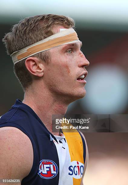 Adam Selwood of the Eagles looks on during the First AFL Elimination Final match between the West Coast Eagles and the North Melbourne Kangaroos at...
