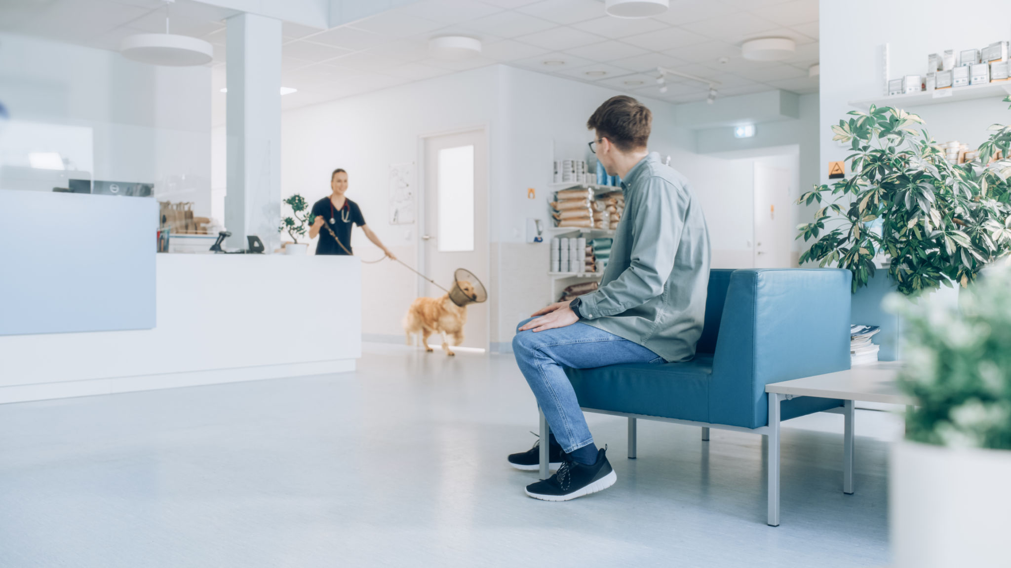 pet clinic interior