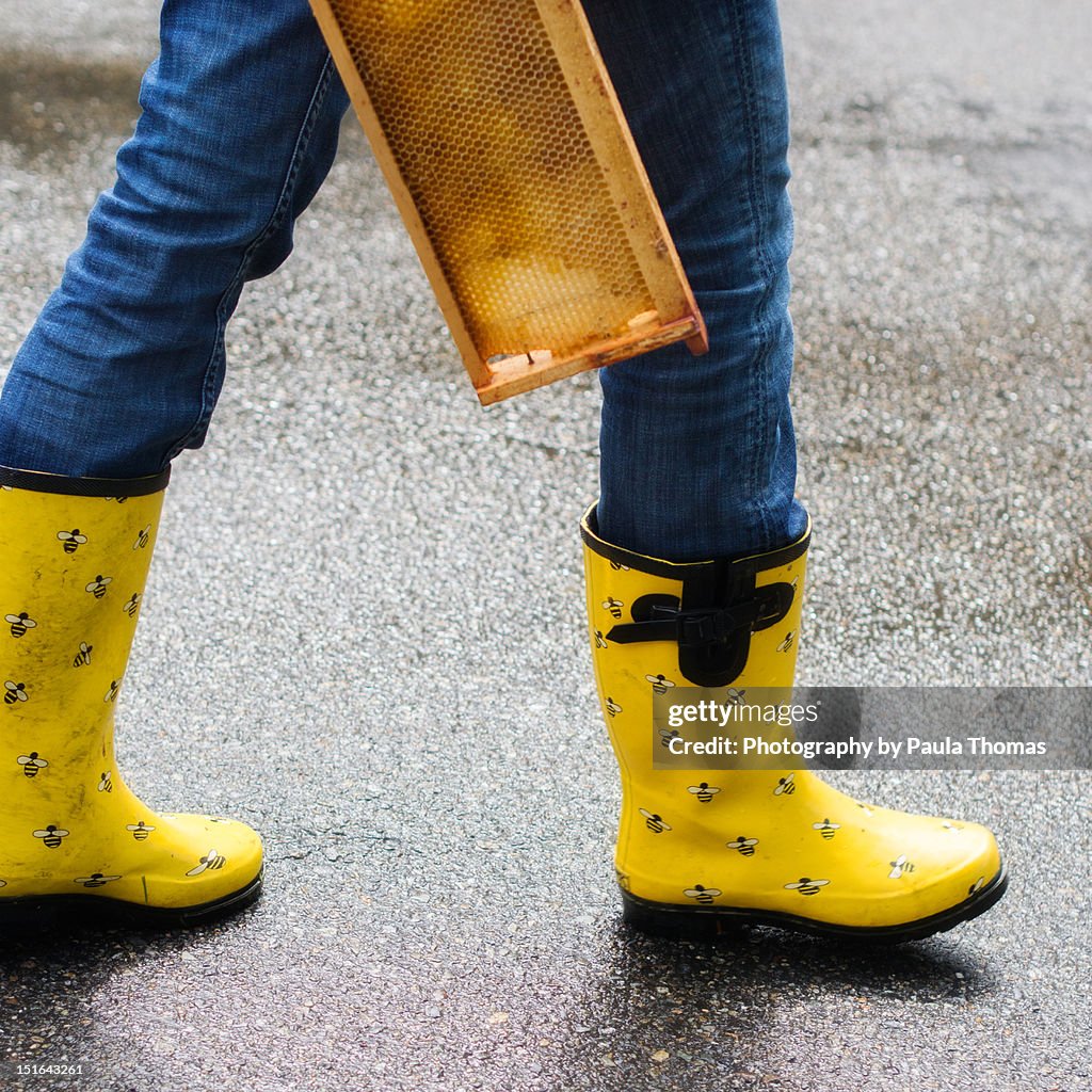 Bee rain boots