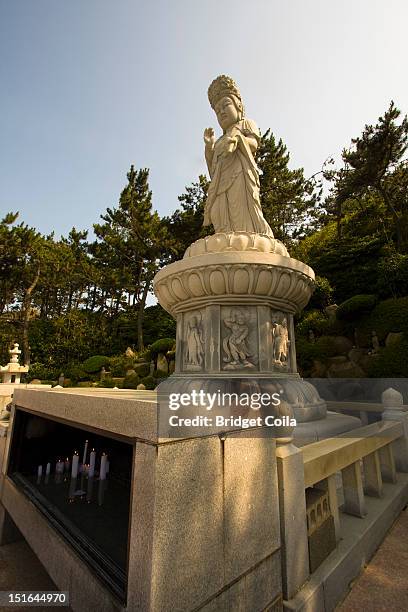 shrine of goddess - buddhist goddess stock pictures, royalty-free photos & images