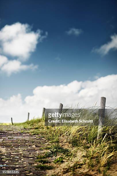 footpath with fence - marram grass stockfoto's en -beelden