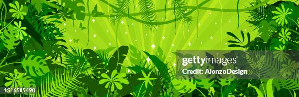 tropical rainforest banner. jungle frame poster. - rainforest background stock illustrations
