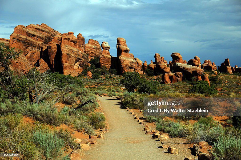 Arches National Park