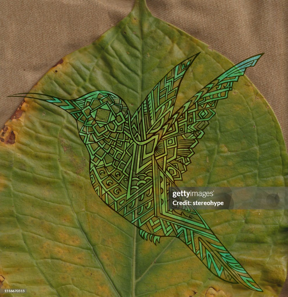 Hummingbird on a leaf