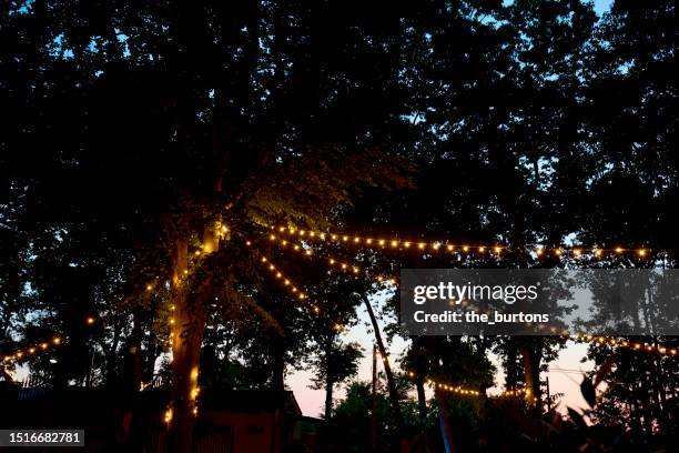 string lights for party decoration hanging in trees - string light stock pictures, royalty-free photos & images