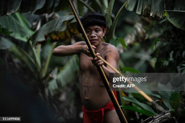 Yanomami native man mans his bow and arrow at the Irotatheri community, Amazonas state, southern Venezuela, 19 km away from the border with Brazil,...