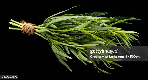 close-up of vegetables against black background - dragon stockfoto's en -beelden