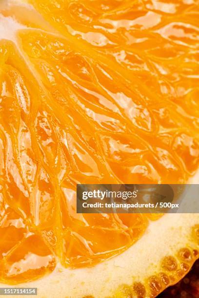 close-up of orange slice,ukraine - succulent stock-fotos und bilder