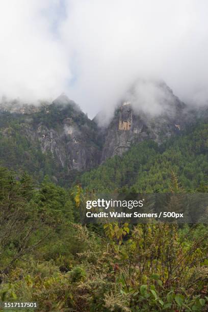 scenic view of mountains against sky - disparo bildbanksfoton och bilder