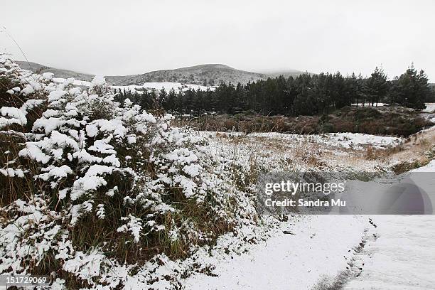 State Highway One leading into Dunedin where snow is falling in Dunedin due to a cold front hitting the lower South Island on September 11, 2012 in...