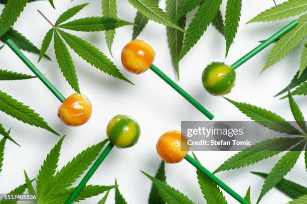 creative arrangement of green marijuana leaves and lollipops - lollipop stock pictures, royalty-free photos & images