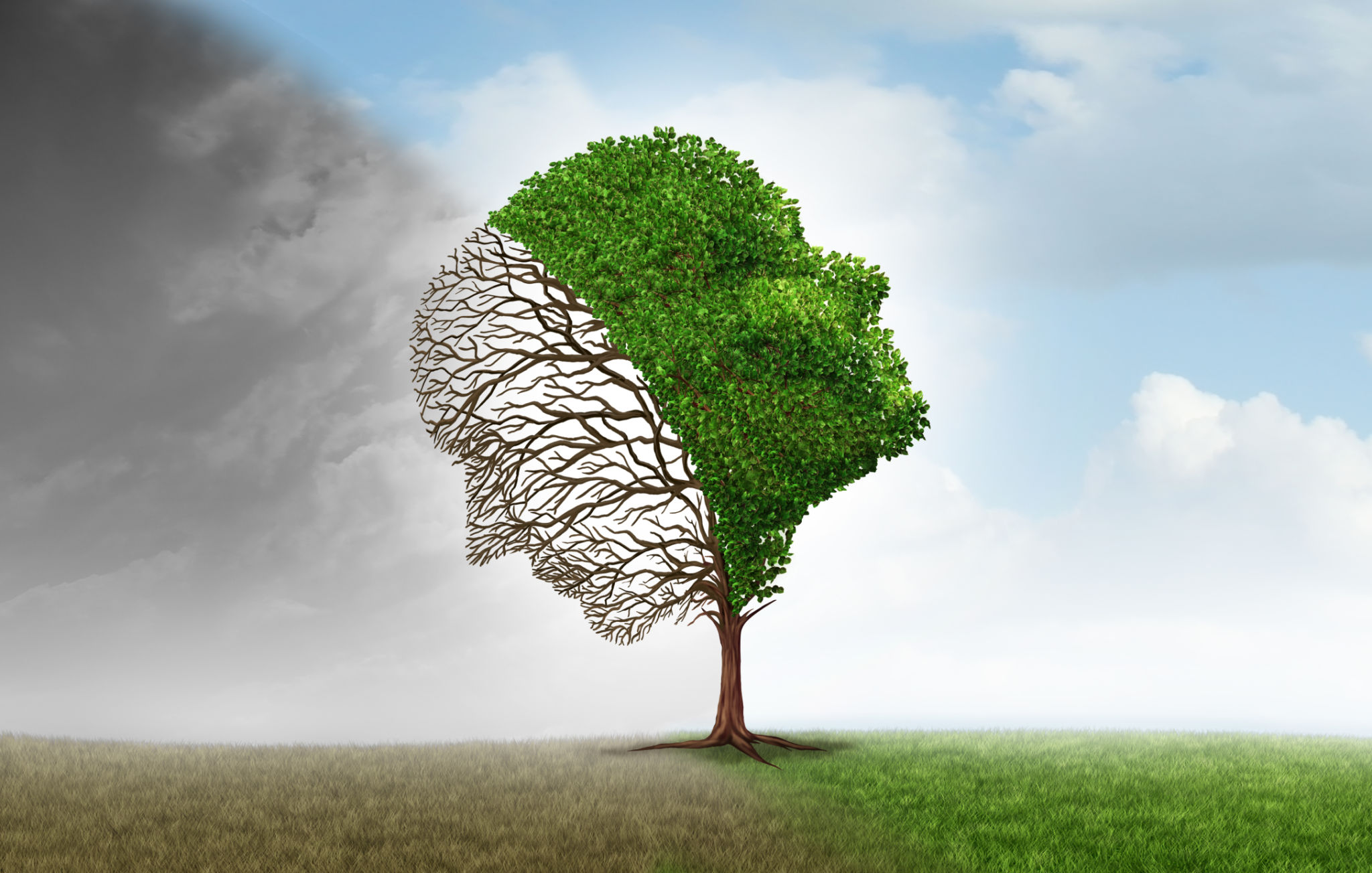 emotional intelligence