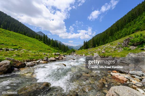 landschaft in den bergen mit fluss und wald - gebirgsbach stock-fotos und bilder