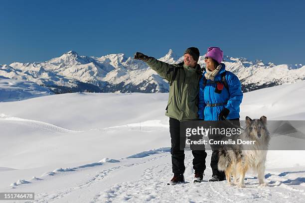 winter hiking on sonnenkopf plateau - sonnenkopf stock pictures, royalty-free photos & images