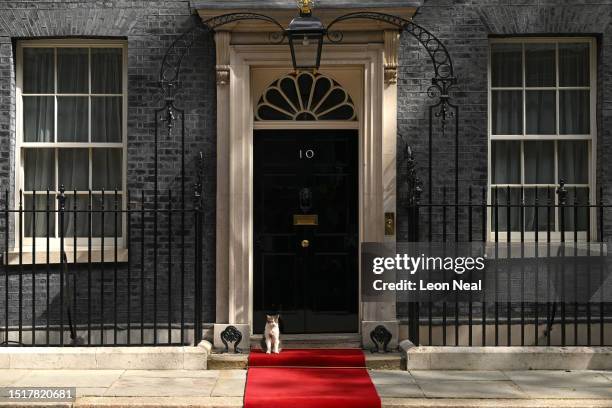 Larry the Cat sits outside 10 Downing Street ahead of President Biden's visit on July 10, 2023 in London, England. The President is visiting the UK...