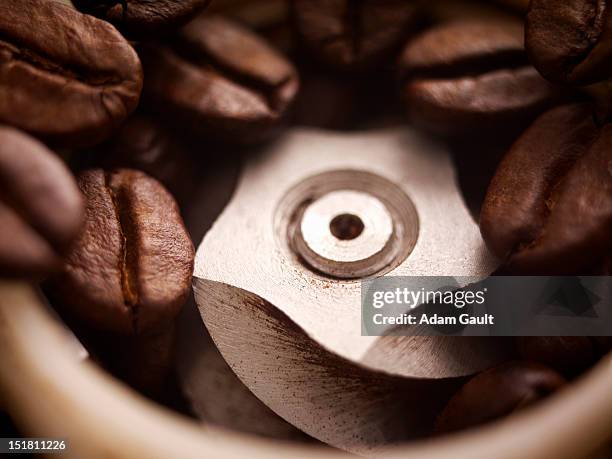 close up of coffee beans in grinder - coffee grinder stock-fotos und bilder