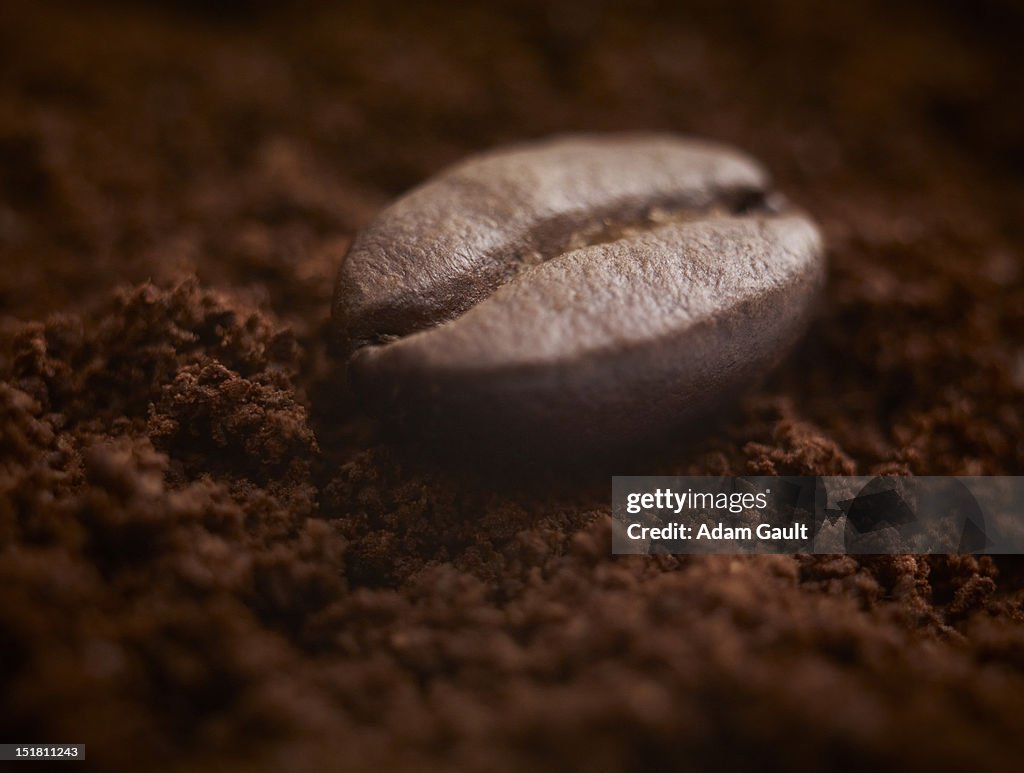 Close up of coffee bean on ground coffee
