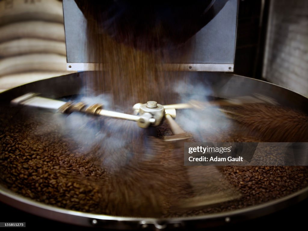 Coffee beans falling into steaming roasting machine