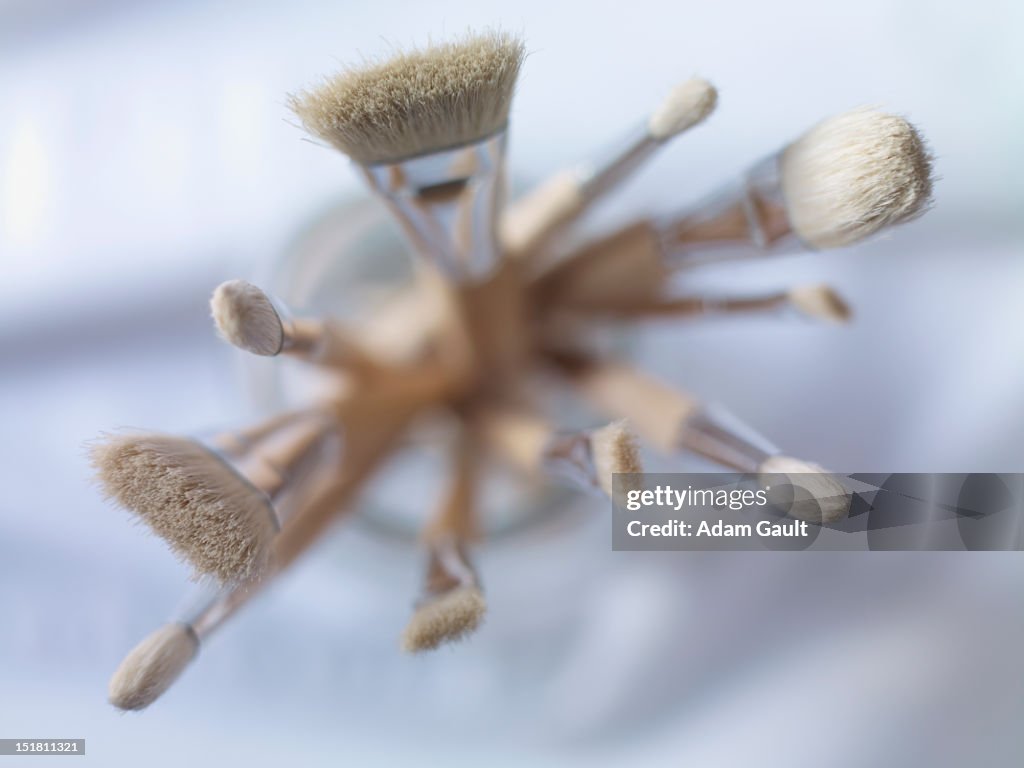 Close up of a variety of paintbrushes