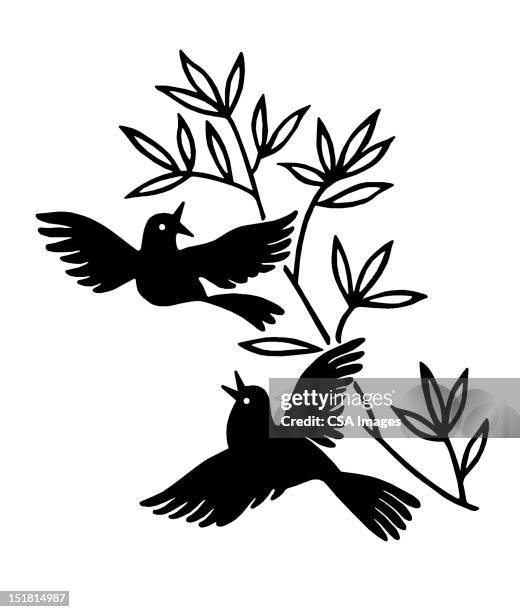 ilustraciones, imágenes clip art, dibujos animados e iconos de stock de two birds flying - paloma ave