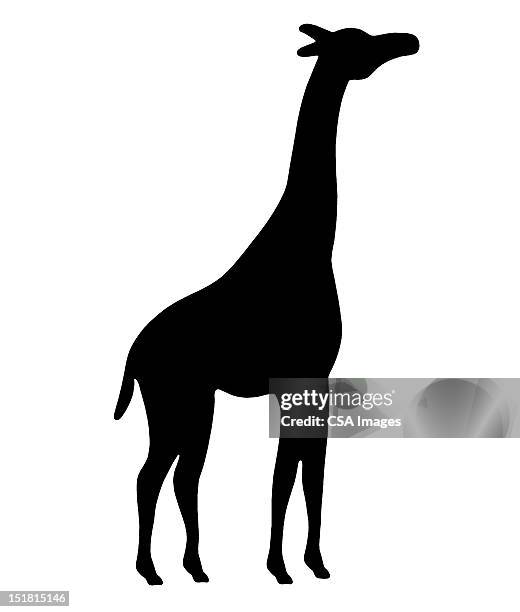 silhouette of giraffe - in silhouette zoo animals stock illustrations