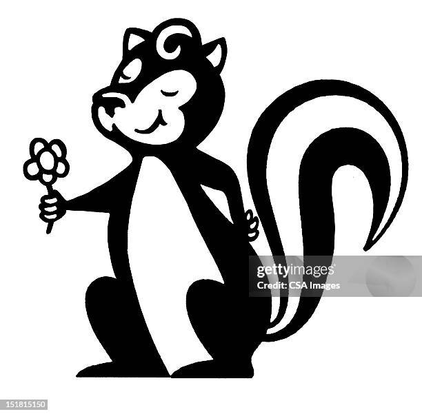 skunk holding flower - skunk stock illustrations