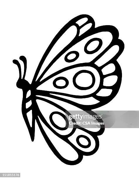 butterfly - butterfly insect stock-grafiken, -clipart, -cartoons und -symbole