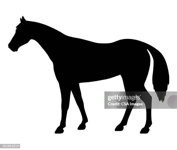 illustrations, cliparts, dessins animés et icônes de silhouette of horse - cheval