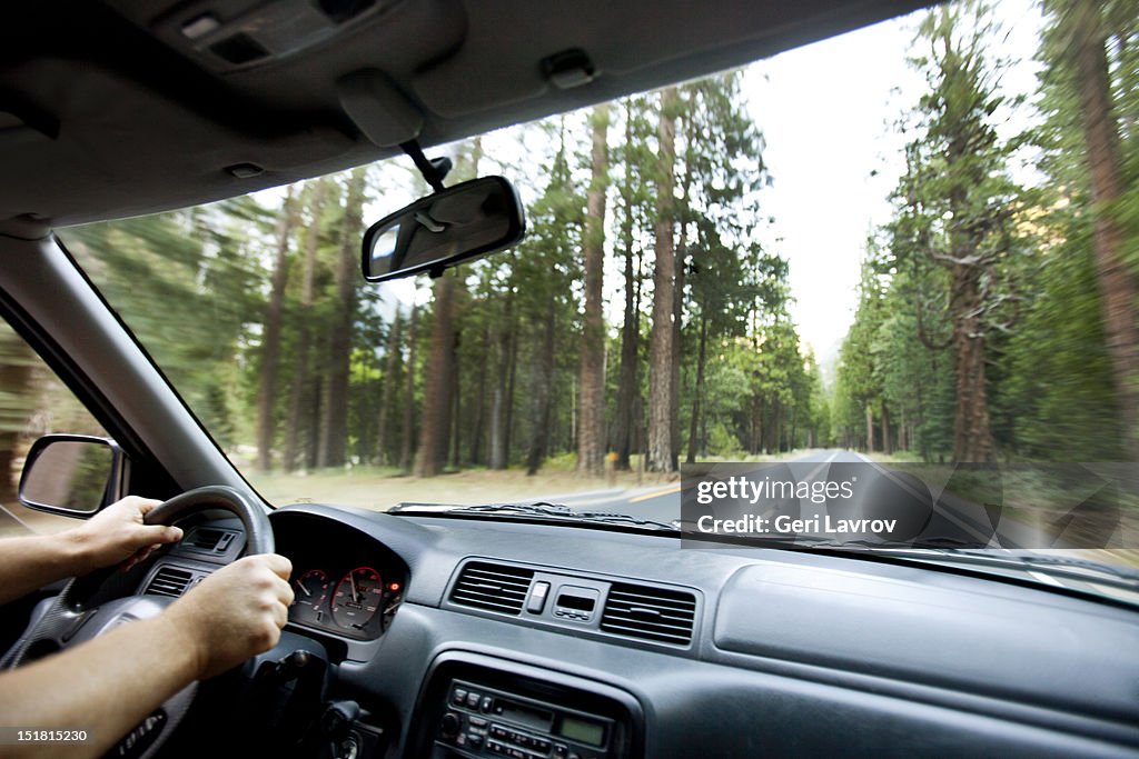 Driving through forest in Yosemite National Park