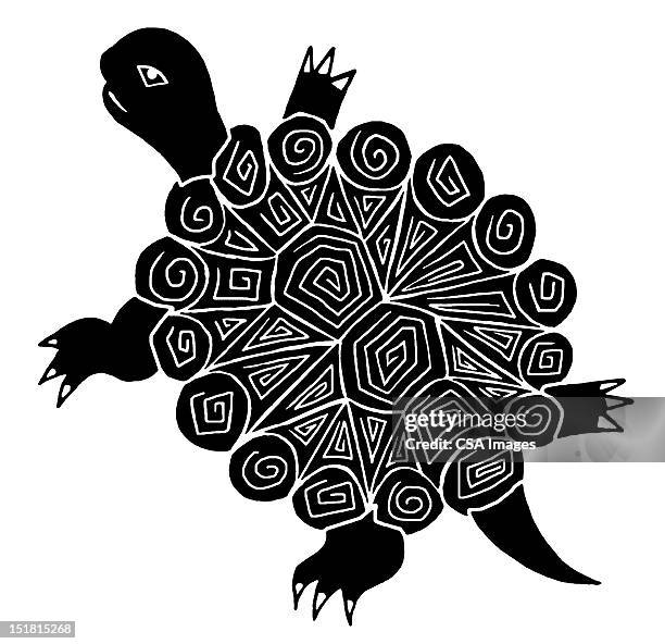 turtle - tortoise shell stock illustrations