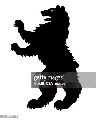 Rampant Bear High-Res Vector Graphic - Getty Images