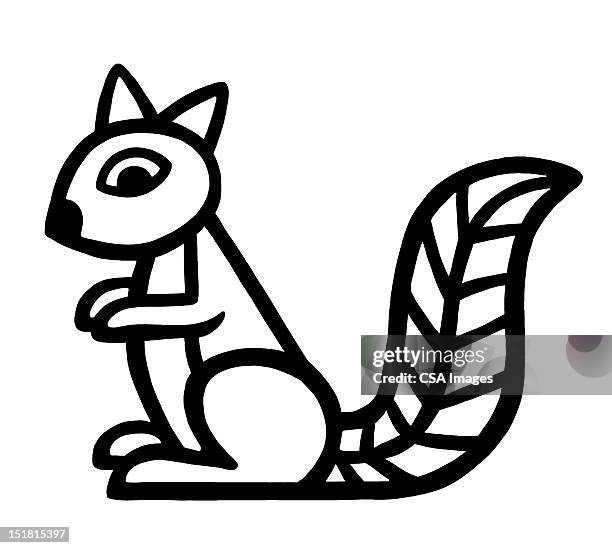 squirrel - squirrel stock illustrations