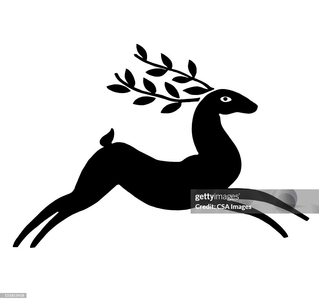 Gazelle