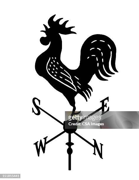 ilustrações, clipart, desenhos animados e ícones de weathervane - galinha ave doméstica