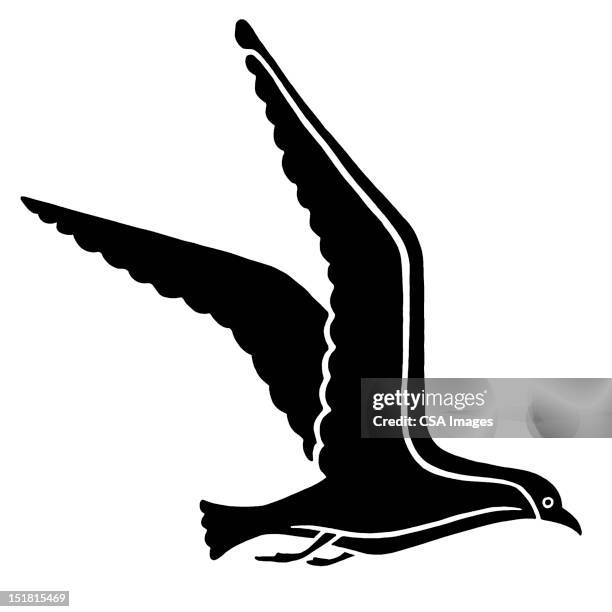 seagull - seagull stock illustrations