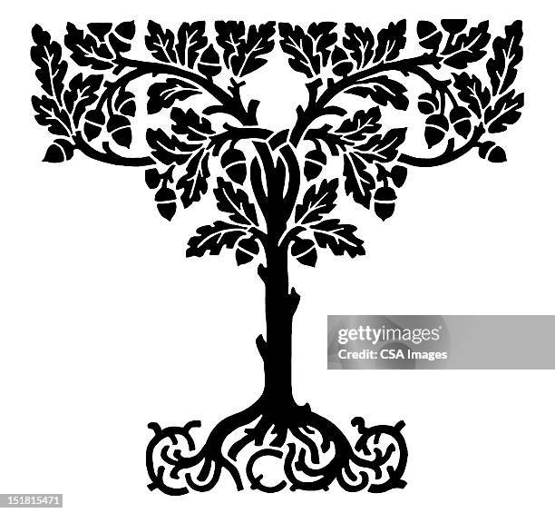 tree with exposed roots - root stock illustrations
