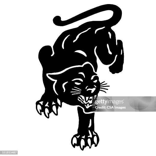 ilustraciones, imágenes clip art, dibujos animados e iconos de stock de panther - wildcat animal