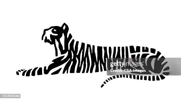 stockillustraties, clipart, cartoons en iconen met tiger - tiger print