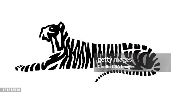Tiger Tiger
