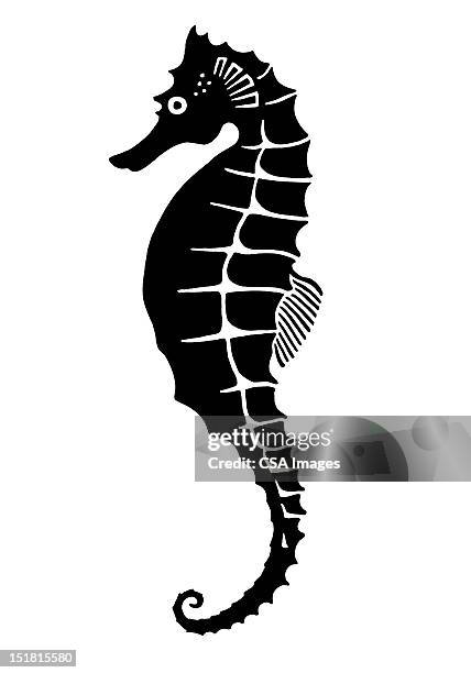 stockillustraties, clipart, cartoons en iconen met sea horse - sea horse