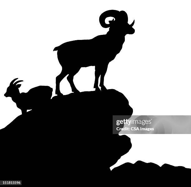 silhouette of ram on rocks - horned stock illustrations