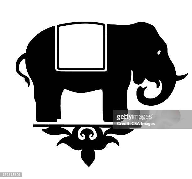 stockillustraties, clipart, cartoons en iconen met elephant - animal trunk
