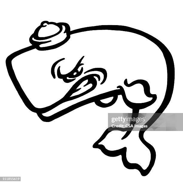 whale wearing hat - whale tail illustration stock illustrations